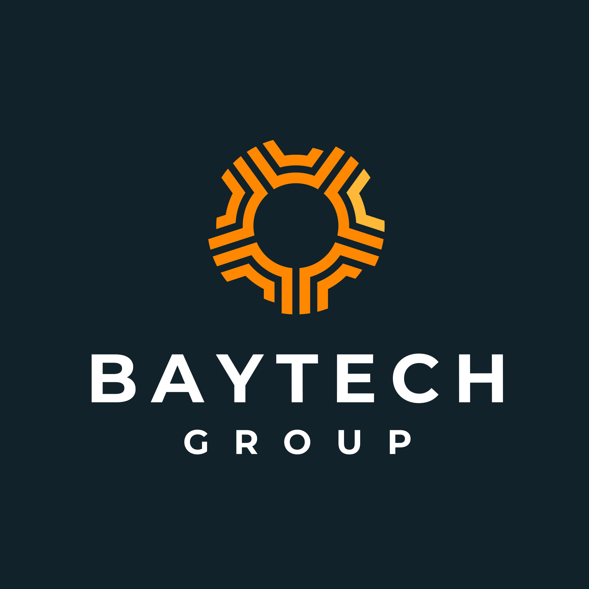 The BayTech Group
